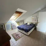 Rent 2 bedroom house of 67 m² in Turin