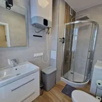 Rent 1 bedroom apartment of 25 m² in Poznań