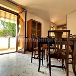 Rent 5 bedroom apartment of 80 m² in Massa