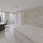 Rent 2 bedroom apartment of 53 m² in Paris