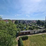 Rent 2 bedroom apartment of 51 m² in Freiberg