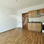 Pronajměte si 1 ložnic/e byt o rozloze 27 m² v Pilsen