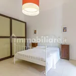 Rent 3 bedroom apartment of 80 m² in Catania