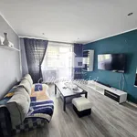 Rent 2 bedroom apartment of 49 m² in Mysłowice