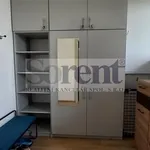 Pronajměte si 1 ložnic/e byt o rozloze 39 m² v Frymburk