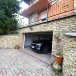 Rent 5 bedroom house of 517 m² in Budapest