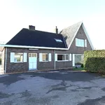 Rent 3 bedroom house of 232 m² in Hooglede