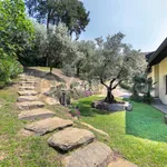 Rent 5 bedroom house of 390 m² in Vergiate