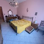 Rent 3 bedroom apartment of 75 m² in Torino