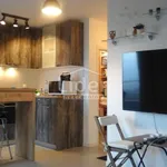 Rent 1 bedroom apartment of 35 m² in Grad Rijeka