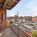 Rent 3 bedroom apartment of 78 m² in Hoefstraat Noord