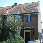 Rent 2 bedroom apartment of 40 m² in Hilversum