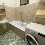 Rent 2 bedroom apartment of 60 m² in Capital City of Prague