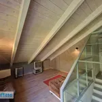 Rent 3 bedroom apartment of 100 m² in Turin