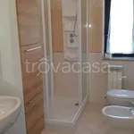 Rent 3 bedroom apartment of 95 m² in Belvedere Marittimo