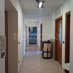 Rent 7 bedroom house of 130 m² in Vetralla