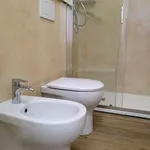 Rent 1 bedroom apartment in Milan