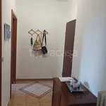 Rent 2 bedroom apartment of 50 m² in Grugliasco