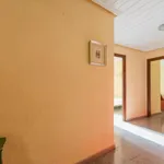 Rent 5 bedroom apartment in Valencia