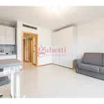 Rent 1 bedroom apartment of 41 m² in Milano