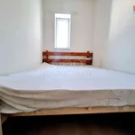 Rent 1 bedroom apartment of 54 m² in Plzeň