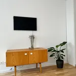 Rent 1 bedroom apartment of 33 m² in Leipzig