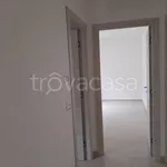 Rent 3 bedroom apartment of 80 m² in Mugnano di Napoli