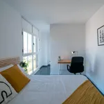 Alquilar 6 dormitorio apartamento en Valencia