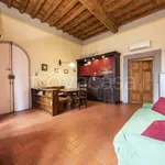 Rent 2 bedroom apartment of 60 m² in Firenze