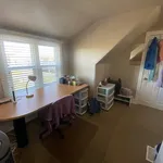 Rent 1 bedroom house in Kingston