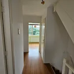 Rent 5 bedroom house of 121 m² in Haarlem