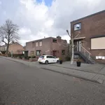 Rent 3 bedroom apartment of 75 m² in Broekhem Noord