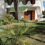 Rent 4 bedroom house of 70 m² in Castellaneta