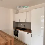 Rent 1 bedroom apartment of 40 m² in Plzeň