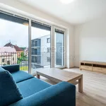 Rent 1 bedroom apartment in Plzeň