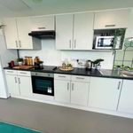 Rent 1 bedroom flat in Sheffield