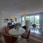 Rent 3 bedroom apartment of 80 m² in Gageldonk-West