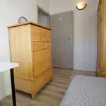 Rent a room in lodz