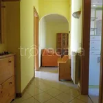 Rent 2 bedroom apartment of 65 m² in Caronno Pertusella