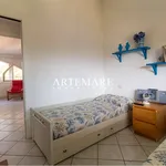 Rent 3 bedroom apartment of 100 m² in Massa