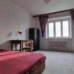 Pronajměte si 2 ložnic/e byt o rozloze 77 m² v Brno