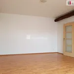 Rent 1 bedroom apartment of 44 m² in České Budějovice