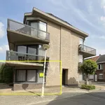 Rent 1 bedroom apartment in Beveren