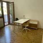 Affitto 1 camera appartamento di 20 m² in Roma