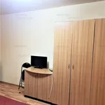 Rent 1 bedroom apartment of 21 m² in Timisoara