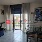 Rent 5 bedroom apartment of 90 m² in Pisa