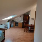 Rent 1 bedroom apartment of 35 m² in Pavia