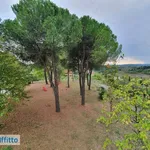 Rent 2 bedroom apartment of 60 m² in Siena