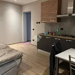 Rent 1 bedroom apartment of 40 m² in Novara