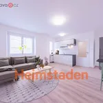 Rent 1 bedroom apartment of 29 m² in Trhový Štěpánov